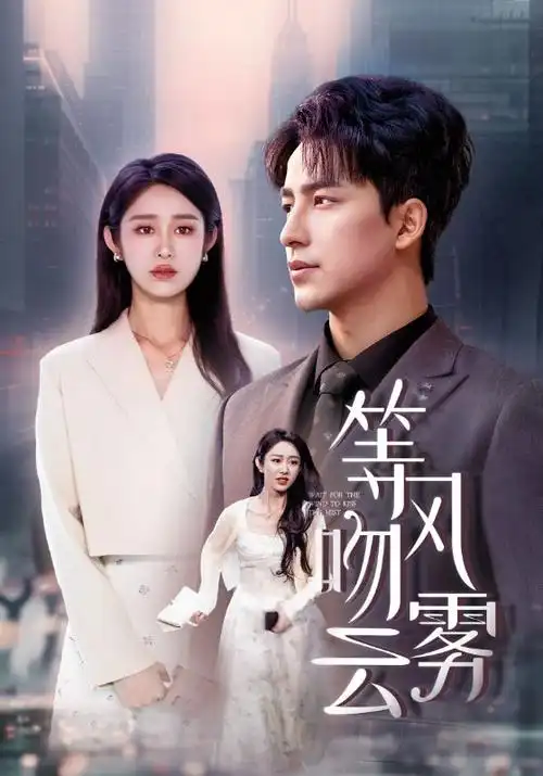 红果影视热播剧 长夜将明 海报